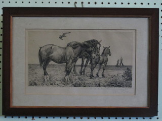 An etching "Horses with Sea in Distance", signed, 7" x 8 1/2"