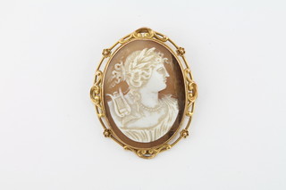 A shell carved cameo portrait brooch of a lady contained in a gold mount