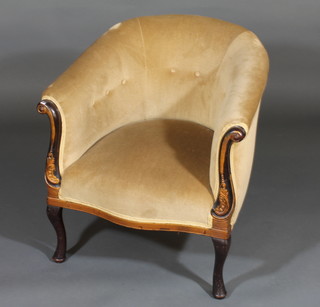 A Victorian mahogany show frame tub back armchair upholstered  in mustard material, raised on cabriole supports