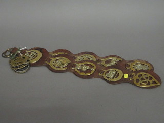 2 leather Martingales hung 10 horse brasses and 4 other horse brasses