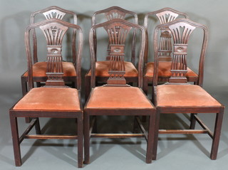 A set of 6 Edwardian Hepplewhite style mahogany camel back dining chairs with upholstered drop in seats, raised on square  tapering supports with H framed stretchers
