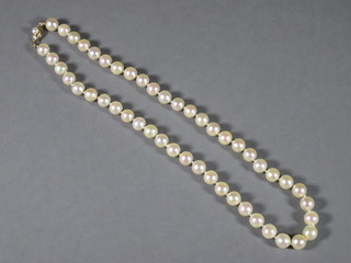 A single row of cultured pearls with gold clasp