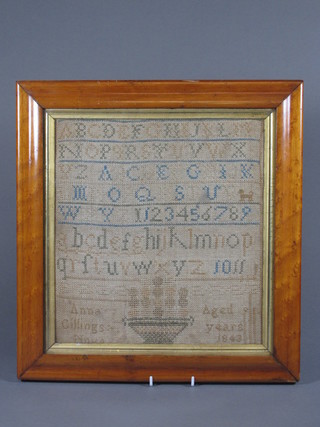 A 19th Century wool work sampler with alphabet by Ann  Gillings 1843, contained in a maple frame 12" x 11"