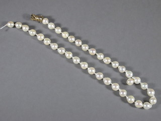 A row of cultured pearls with 9ct gold clasp