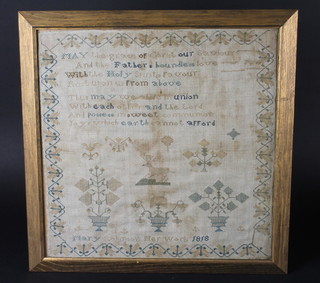 A Georgian  needlework sampler with motto, flowers and  animals by Mary Robinson 1818 17" x 17"