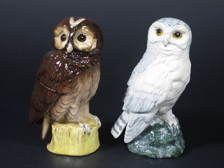 2 Beswick decanters for Whyte & Mackay - Snowy Owl and  Tawny Owl 6"