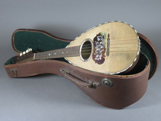 An 8 stringed mandolin complete with fibre carrying case