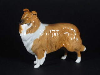 A Beswick figure of a standing Collie - Lochinvar of Lady Park 6"