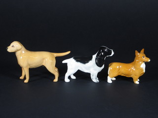 A Beswick figure of a standing Corgi 3", do. black and white  Spaniel 3 1/2" and do. Labrador 3"