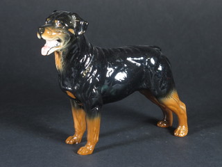 A Beswick figure of a Rottweiler 5 1/2"