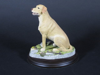 A resin figure of a seated yellow Labrador 6"