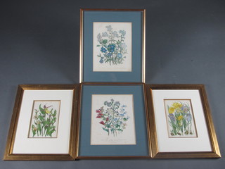 2 pairs of botanical prints 10" x 7 1/2" and 8" x 5 1/2" and 1  other botanical print 10" x 8"