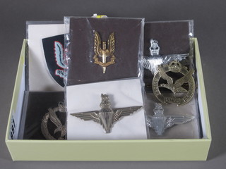 A Glider Pilot regiment cap badge, an Army Air Corps cap  badge, an SAS cap badge, an SAS cloth badge, 3 Parachute Regt. cap badges