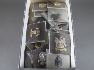 25 various staybright Cavalry Regt. cap badges