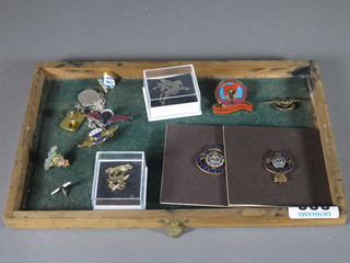 A British Legion lapel badge and a small collection of enamelled badges