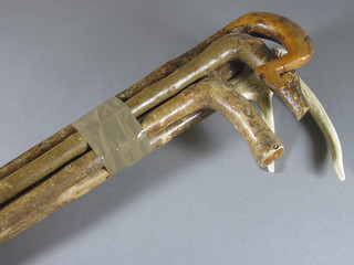 A stag horn handled stick and a bundle of walking sticks