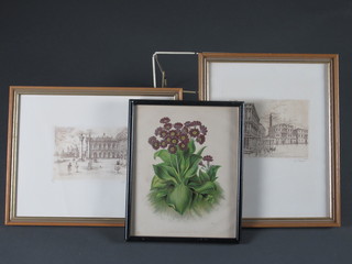 M Roceti?, a pair of limited edition etchings "Venice" 4" x 6"  and a coloured print "Hybrid Primula" 4 1/2" x 6"