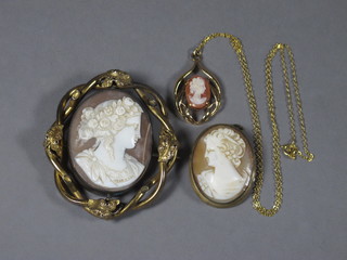 A shell carved cameo portrait brooch contained in a pinch beck  mount, a cameo brooch and a fine gilt chain hung a cameo