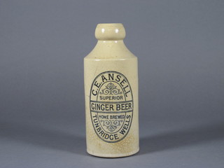 A Victorian Doulton stoneware ginger beer bottle - C E Ansel of Tunbridge Wells