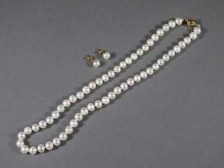 A rope of Akoya fresh water pearls and a pair of matching ear  studs