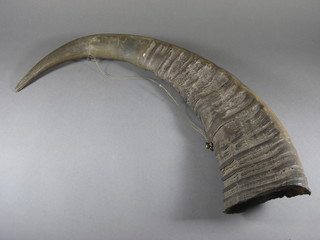 A 19th Century tusk 27"