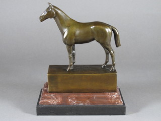 A bronze figure of a standing horse raised on a rectangular  marble base 9"