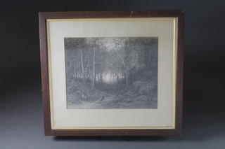 A monochrome print "Woodland Scene with Fox" 15" x 19" in  an oak frame