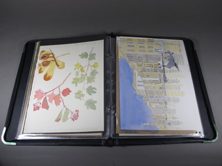 A folio containing various watercolour drawings