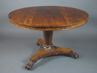 A William IV rosewood circular breakfast table with moulded  top, raised on tapered column support, trefoil base with claw feet  29.5"h x 47"diam
