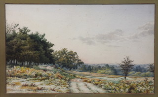 C A Brindley, late 19th Century British School, watercolour on  paper study of a pastoral wooded landscape signed and dated  1885 9"h x 15"w