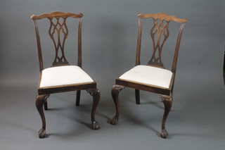 A set of 4 1920's mahogany dining chairs in the Chippendale style with pierced vase splats, drop in seats, raised on scroll  carved cabriole legs, claw and ball feet