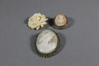 2 shell carved cameo brooches and a carved ivory flower head brooch