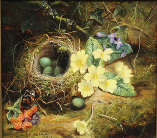 E G H Lucas, 19th Century style oil on board, still life of a birds  nest and a butterfly within naturalistic setting, signed E G H  Lucas 8.5"h x 9.5"w