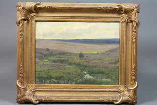 Jan B Pospisil, 1848-1968, Continental School, oil on canvas, a moorland scene with a stream and heather and a forest in the  distance, indistinctly signed 13"h x 17.5"w