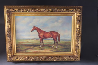 C Roy, a modern oil painting on canvas, equine study of a standing horse, 23" x 35" contained in a heavy gilt frame