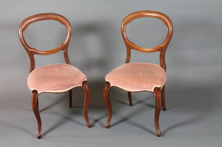 A set of 6 mid Victorian walnut hoop back dining chairs, having  pink dralon upholstery raised on cabriole legs