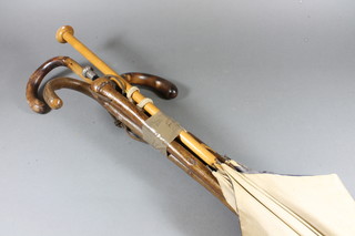 A parasol, an ebony cane with silver handle and 4 other walking  sticks