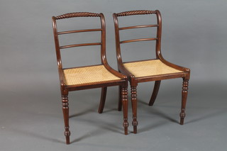 A pair of Regency mahogany dining chairs with rope twist cresting rails, caned Trafalgar seats, raised on ring turned  tapered legs