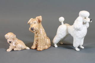 A Beswick figure of a white standing poodle - Eswok 5" and 2  Sylvac brown glazed figures of dogs
