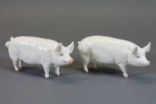 A Beswick sow, Champion Wall Queen, f, and a standing boar  CH Wall Champion Boy 53 3"