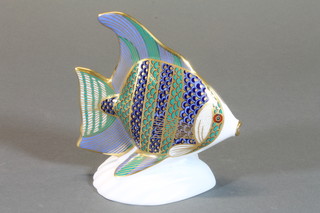 A Royal Crown Derby porcelain Angel fish, base marked XL 5"