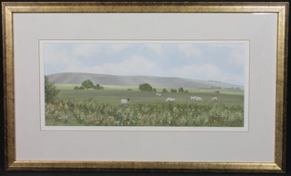 Rosemary Pavey, 20th Century British School, gouache on paper, "South From Ditchling Common", a downland scene with sheep  in the foreground and Jack and Jill windmills in the distance,  signed and dated '94, 8"h x 19"w