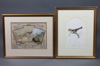 20th Century School, watercolour on paper, an ornithological  study of song birds within scrolled reserves, monogrammed  WGTH 9.5"h x 12.5"w together with a pencil and watercolour  study of a Chaffinch 10.5"h x 7"w