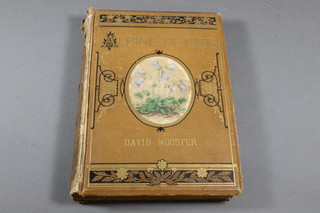 David Wooster, 1 volume "Alpine Plants" published by Bell & Dalby