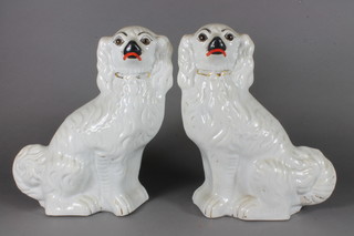 A pair of Staffordshire pottery seated spaniels 11"