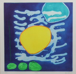 Heidi Konig, British, b.1964, a limited edition aquatint "Madiba", an abstract study signed and dated '98 16/75, 19.5"h  x 19.25"w
