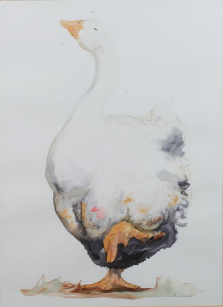 C Shirly?, a late 20th Century pencil and watercolour on paper, an impressionist study of a goose, indistinctly signed and dated  '95, 29"h x 21"w