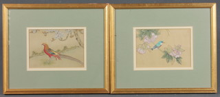 An early 20th Century Japanese watercolour on silk, study of a peacock together with a companion piece study of a song bird,  4.5"h x 6.5"w