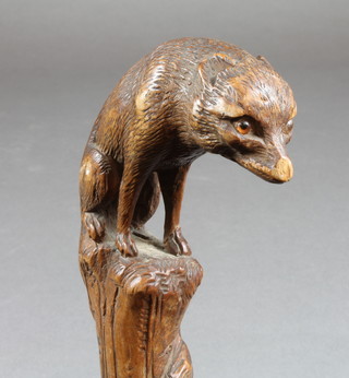 An umbrella with carved wooden handle in the form of a seated  fox  ILLUSTRATED