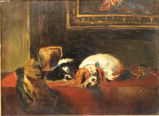 An early 20th Century British School, oil on canvas, study of two King Charles spaniels at rest, unsigned, 8.75"h x 11.5"w